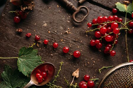 Table top view bunch of red currant, separated / disassembled berries laying on a dark wooden table, surrounded by leaves and other objectsの写真素材