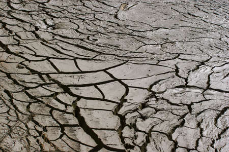 Mud that is still wet but cracking due to over saturationの写真素材