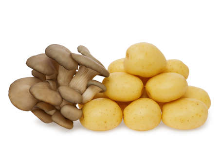 Fresh potatoes and oyster mushroom on a white backgroundの写真素材