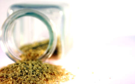 sesame               の写真素材