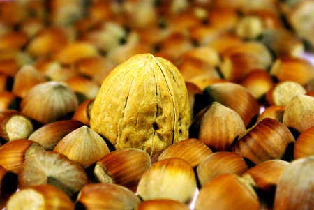 The Kingの写真素材