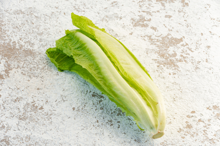 Cos lettuce vegetable salad on isolated white backgroundの写真素材