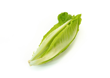 Cos lettuce vegetable salad on isolated white background