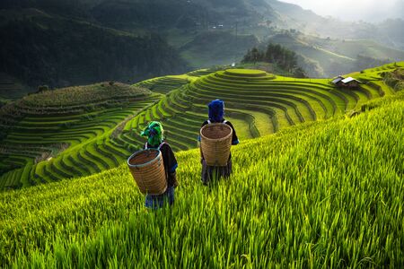 MU CANG CHAI, VIETNAM, July 19, 2018 : Hmong ethnic minority women in Mu Cang Chai, Yen Bai.のeditorial素材