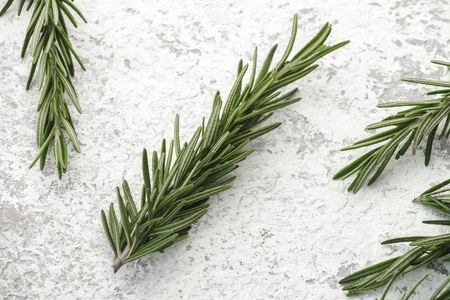 Rosemary on white backgroundの写真素材