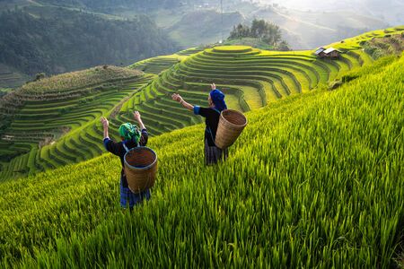 MU CANG CHAI, VIETNAM, July 19, 2018: Hmong ethnic minority women in Mu Cang Chai, Yen Bai.のeditorial素材