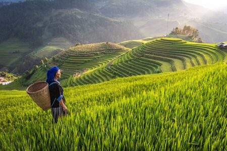 MU CANG CHAI, VIETNAM, July 19, 2018: Hmong ethnic minority women in Mu Cang Chai, Yen Bai.のeditorial素材