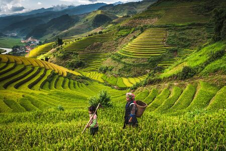 Woman and child on rice terraced fieldのeditorial素材