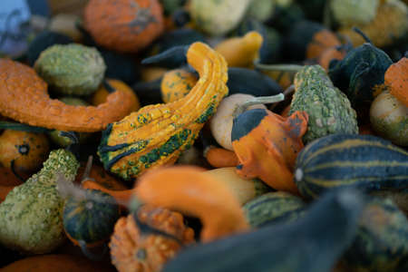 Different colored pumpkins on top of each other. High quality photo