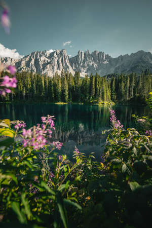 Flowers in front of a lake and mountainsの写真素材