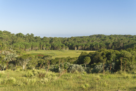 Green clean landscape.の写真素材