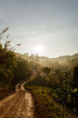 Sunrise on country roadの写真素材