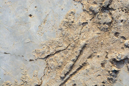 Concrete floor, backgroundの写真素材