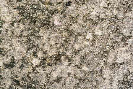 Concrete floor, backgroundの写真素材