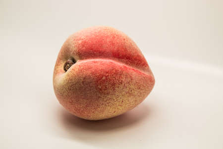 apricotの写真素材