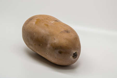 Potatoの写真素材