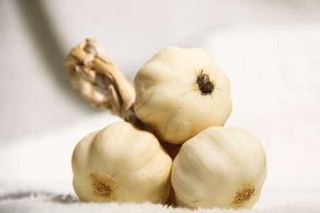 garlic fake on Background whiteの写真素材