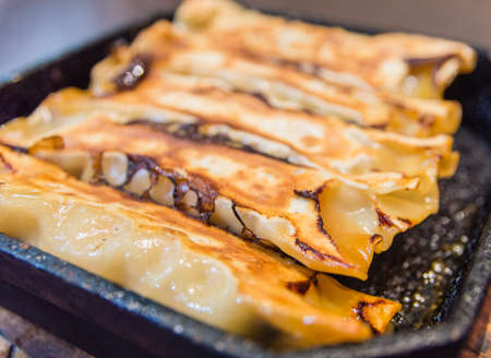 Square Gyoza or Potstickers Close-upの写真素材