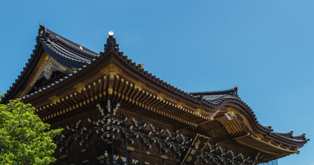 Typical japanese buddhist roof ornamented in gold  Top of a temple in Narita  Shinshoji Temple  Tokyo のeditorial素材