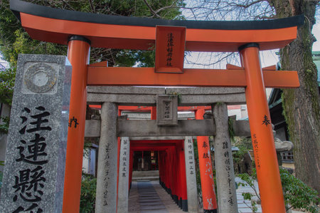 Torii Gates at Kushida Shrine, Fukuoka , Japanのeditorial素材