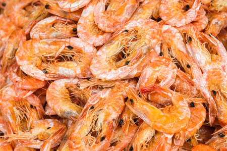 Dried peeling shrimp backgroundの写真素材