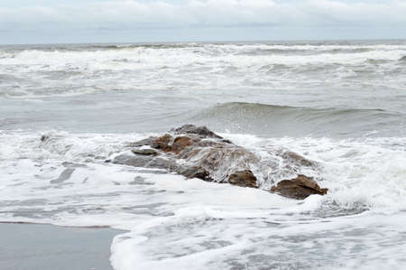 A Rock on the beach in Torteguero Costa Rica の写真素材