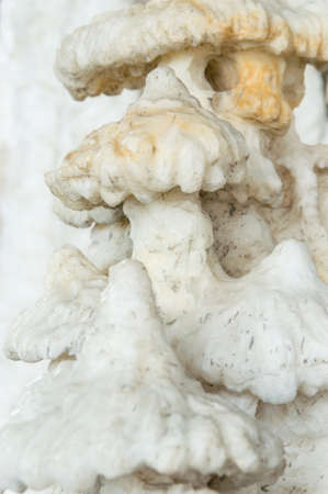 Close up of Stalagmiteの写真素材