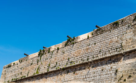 Old Ibiza Town Wall Eith Cannonsのeditorial素材
