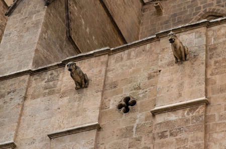 Gargoyles of the Palma Cathedralの写真素材