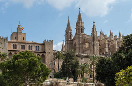 Cathedral in Palma, Majorca, Balearic Islands, Spain. Palm trees in foregroundの写真素材
