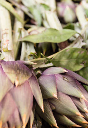 Artichoke close up.の写真素材
