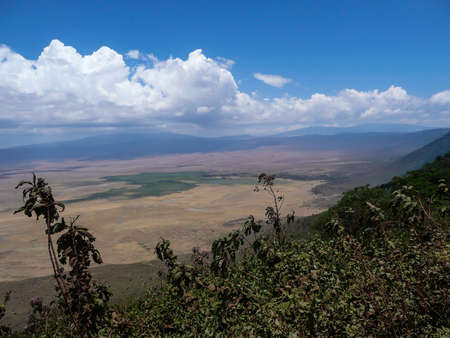 Ngorongoro crater,Tanzania Africaの写真素材