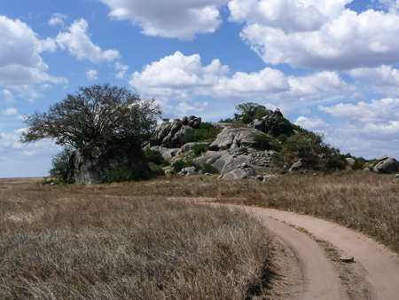 A Rock Formation in the Serengeti National Park Tanzania, Africaの写真素材