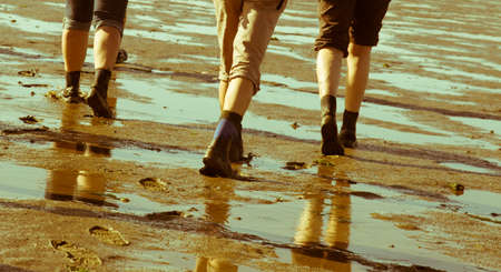 Group of mud flat hikers in the Netherlandsの写真素材