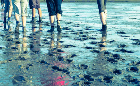 Group of mud flat hikers in the Netherlandsの写真素材