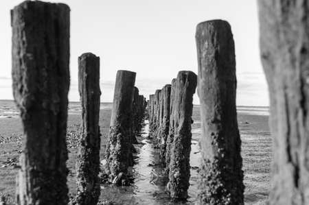 Coastal Feature on Dutch Mud Flatsの写真素材