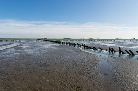 Coastal Feature of the dutch mud flatsの写真素材