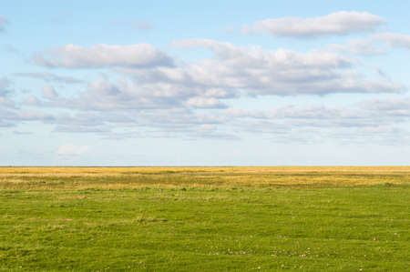 Geen and Yellow Meadow with fantastic sky.