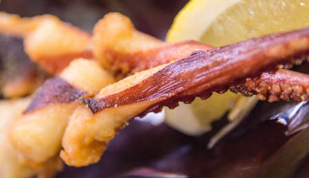 AFried Octopus on a stick, japanese snackの写真素材