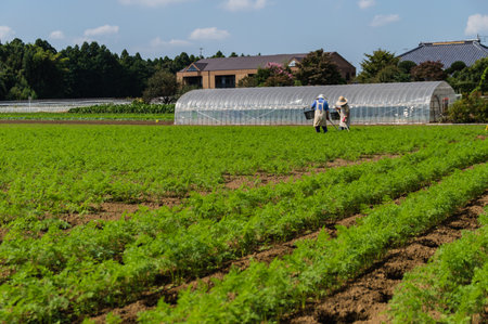farmers Working in the Field, Natira, Japanのeditorial素材