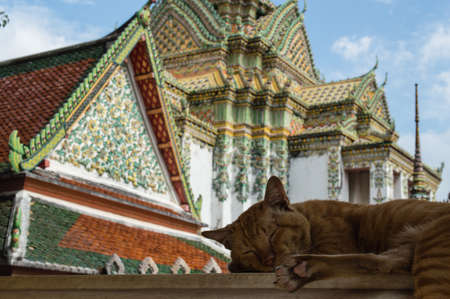 wat pho temple, bangkok, thailandの写真素材