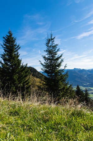 Viewpoint on the Schafberg, Austriaの写真素材