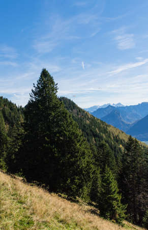 Viewpoint on the Schafberg, Austriaの写真素材