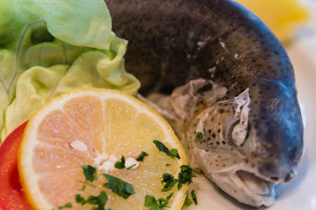 close-up picture of  trout, lemon on vegetable.の写真素材