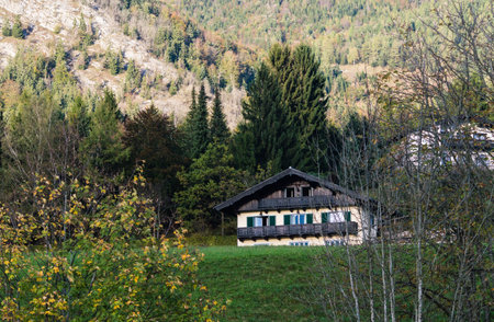 Traditional Housing  in Austrian Alps Mountains.のeditorial素材
