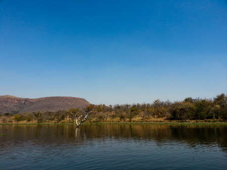 Landscape view of Loskop Nature Reserve,South Africaの写真素材