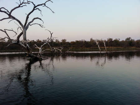 Landscape view of Loskop Nature Reserve,South Africaの写真素材