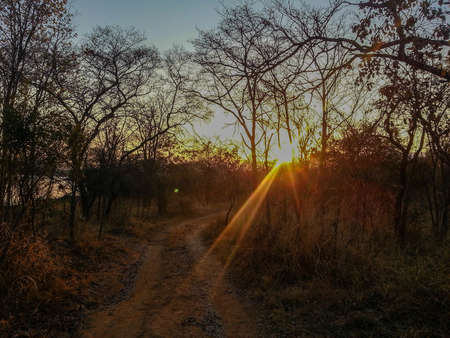 Sunset over Loskop national park, South Africaの写真素材