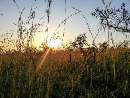 Landscape view of Loskop Nature Reserve,South Africaの写真素材