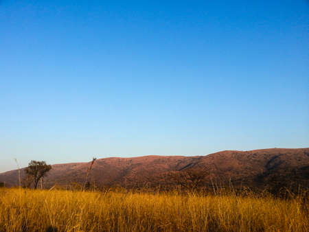 Landscape view of Loskop Nature Reserve,South Africaの写真素材